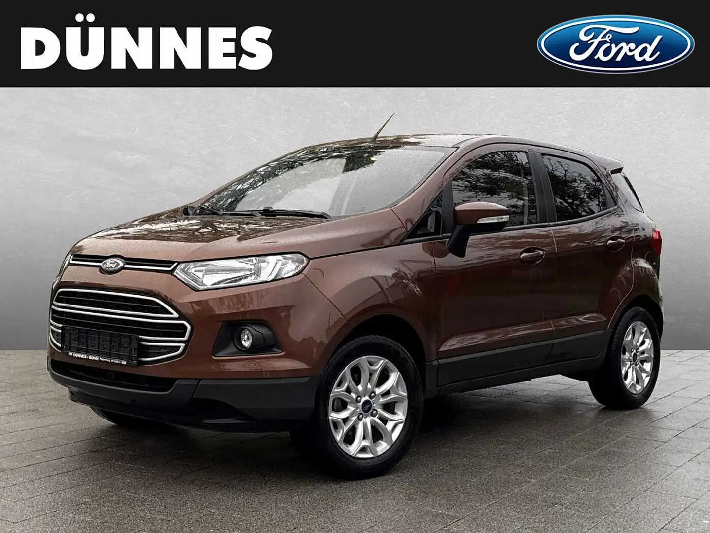 Ford EcoSport 1.0 EcoBoost TREND Braun - 1