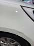 Kia Rio 1.2 CVVT Comfort Pack Airco/Nap/5deurs/2eEIG Wit - thumbnail 21