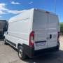 Fiat Ducato 30 MH2 2.3MJ FURGONE PASSO MEDIO T.ALTO 3 PTI-2020 Bianco - thumbnail 5