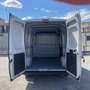 Fiat Ducato 30 MH2 2.3MJ FURGONE PASSO MEDIO T.ALTO 3 PTI-2020 Bianco - thumbnail 13