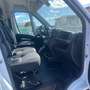 Fiat Ducato 30 MH2 2.3MJ FURGONE PASSO MEDIO T.ALTO 3 PTI-2020 Bianco - thumbnail 11