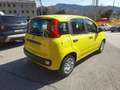Fiat Panda 1.0 Panda Hybrid NUOVA INCENTIVI EURO 0-1-2-3-4-5 Giallo - thumbnail 15