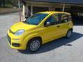 Fiat Panda 1.0 Panda Hybrid NUOVA INCENTIVI EURO 0-1-2-3-4-5 Giallo - thumbnail 1