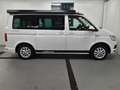 Volkswagen T6 California OCEAN Blanc - thumbnail 4