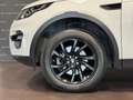 Land Rover Discovery Sport 2.0 eD4 150 CV 2WD White - thumbnail 8