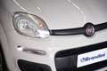 Fiat New Panda 0.9 TwinAir Turbo Natural Power Easy Beige - thumbnail 4