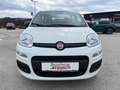 Fiat Panda 1,0 FireFly 70 Panda Weiß - thumbnail 19