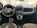 Fiat Panda 1,0 FireFly 70 Panda Weiß - thumbnail 10