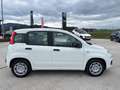 Fiat Panda 1,0 FireFly 70 Panda Weiß - thumbnail 20