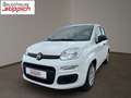 Fiat Panda 1,0 FireFly 70 Panda Weiß - thumbnail 1