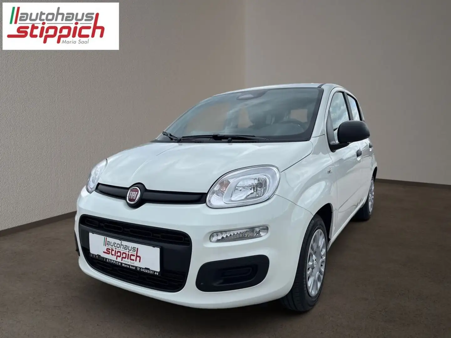 Fiat Panda 1,0 FireFly 70 Panda Weiß - 1