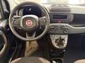 Fiat Panda 1,0 FireFly 70 Panda Weiß - thumbnail 9