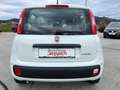 Fiat Panda 1,0 FireFly 70 Panda Weiß - thumbnail 13