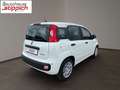 Fiat Panda 1,0 FireFly 70 Panda Weiß - thumbnail 14
