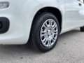 Fiat Panda 1,0 FireFly 70 Panda Weiß - thumbnail 4
