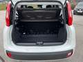 Fiat Panda 1,0 FireFly 70 Panda Weiß - thumbnail 12