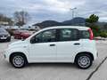 Fiat Panda 1,0 FireFly 70 Panda Weiß - thumbnail 21