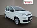 Fiat Panda 1,0 FireFly 70 Panda Weiß - thumbnail 17