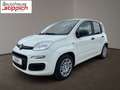 Fiat Panda 1,0 FireFly 70 Panda Weiß - thumbnail 2