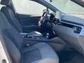 Toyota C-HR 125H Advance Blanco - thumbnail 6