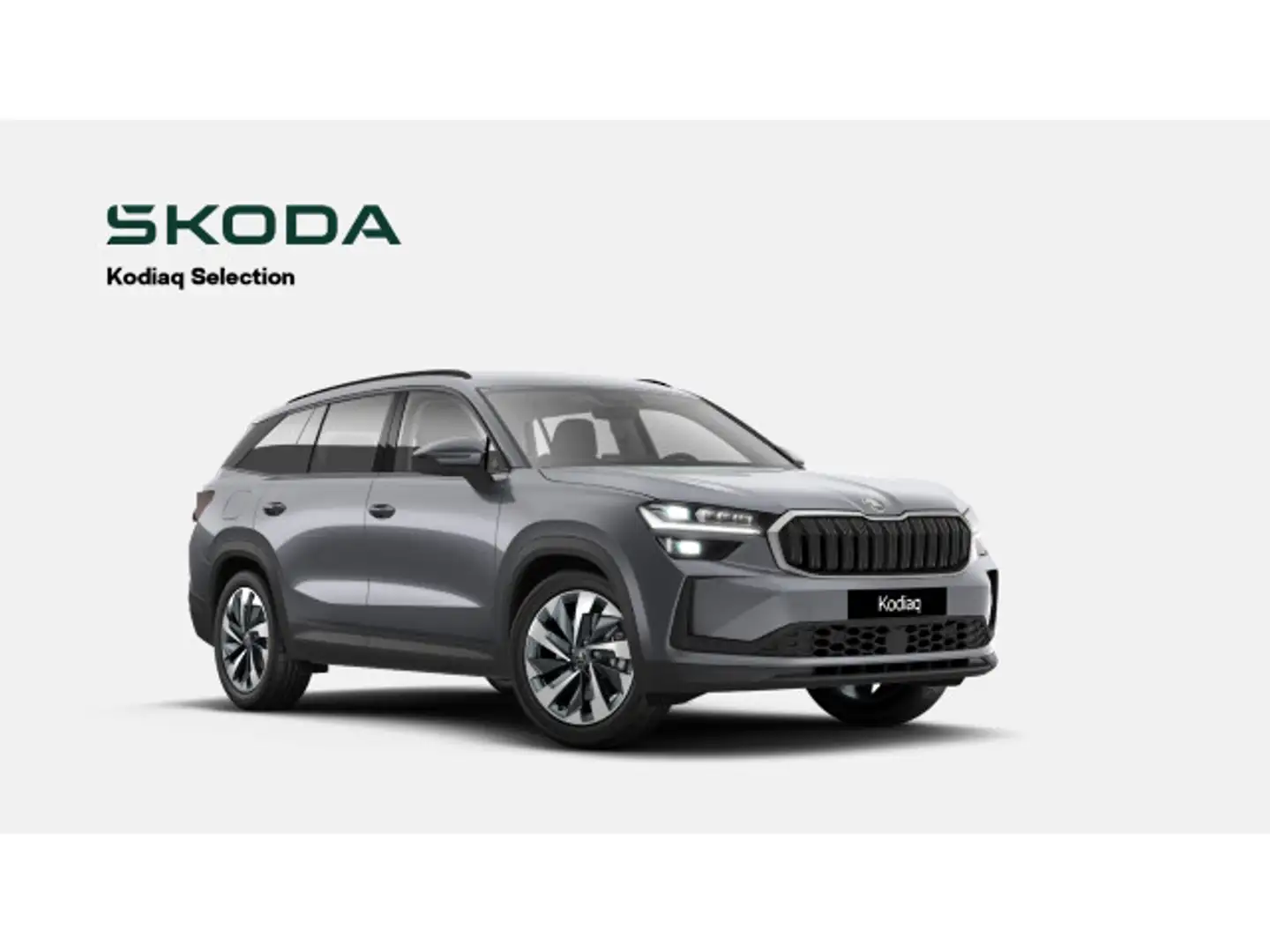 Skoda Kodiaq Selection 1.5 eTSI DSG MATRIX+STHZ+AHK Grau - 2