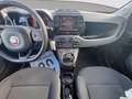Fiat Panda 1.0 firefly hybrid Cross s&s 70cv 5p.ti Rojo - thumbnail 13