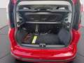 Fiat Panda 1.0 firefly hybrid Cross s&s 70cv 5p.ti Rojo - thumbnail 15