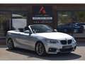 BMW 228 228i Cabriolet - BVA  CABRIOLET F23 M Sport PHASE 1 Grau - thumbnail 7