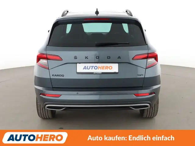 Skoda Karoq view 5