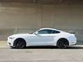 Ford Mustang COUPE' 2.3 ECOBOOST PREMIUM Bianco - thumbnail 4