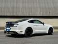 Ford Mustang COUPE' 2.3 ECOBOOST PREMIUM Bianco - thumbnail 6