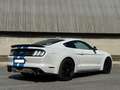 Ford Mustang COUPE' 2.3 ECOBOOST PREMIUM Bianco - thumbnail 5