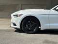 Ford Mustang COUPE' 2.3 ECOBOOST PREMIUM Bianco - thumbnail 7