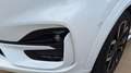 Ford Puma 1.0 ECOBOOST HYBRID 125 CV S&S ST-LINE X Weiß - thumbnail 8