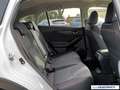 Subaru XV 2.0ie e-BOXER Comfort Lineartronic Weiß - thumbnail 5