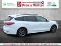 Ford Focus Turnier Mild-Hybrid ST-Line LED+NAVI+ACC Blanc - thumbnail 7