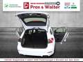 Ford Focus Turnier Mild-Hybrid ST-Line LED+NAVI+ACC Blanc - thumbnail 25