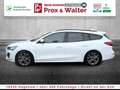 Ford Focus Turnier Mild-Hybrid ST-Line LED+NAVI+ACC Blanc - thumbnail 4