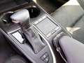 Lexus Hybrid Executive Nero - thumbnail 10