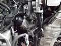 Fiat Panda Panda 1.3 MJT 16V DPF 4x4 Climbing ATTENZIONE...M - thumbnail 5
