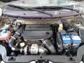 Fiat Panda Panda 1.3 MJT 16V DPF 4x4 Climbing ATTENZIONE...M - thumbnail 13