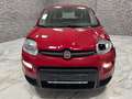Fiat Panda Base Rot - thumbnail 2