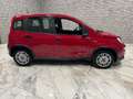 Fiat Panda Base Rot - thumbnail 8