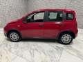 Fiat Panda Base Rot - thumbnail 4
