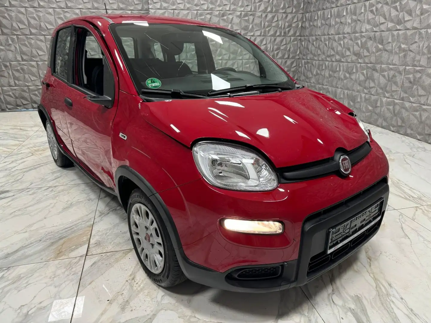 Fiat Panda Base Rot - 1