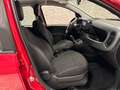 Fiat Panda Base Rot - thumbnail 19