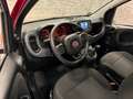Fiat Panda Base Rot - thumbnail 17