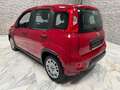 Fiat Panda Base Rot - thumbnail 5
