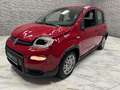 Fiat Panda Base Rot - thumbnail 3