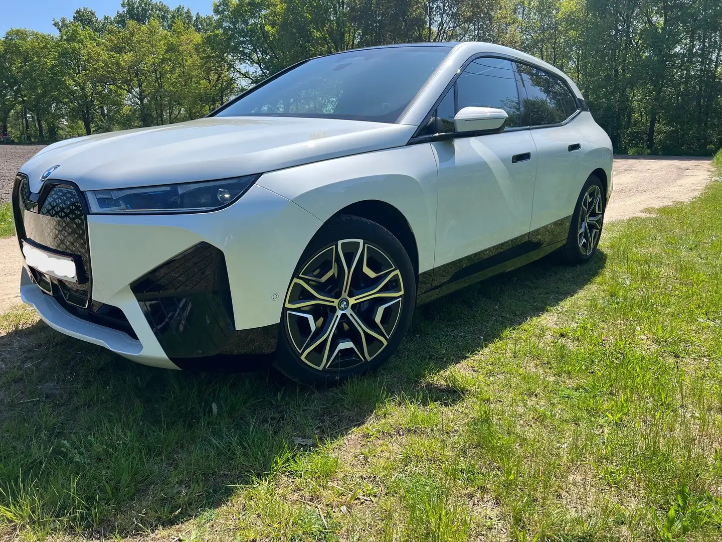 BMW iX iX xDrive40 Wit - 1